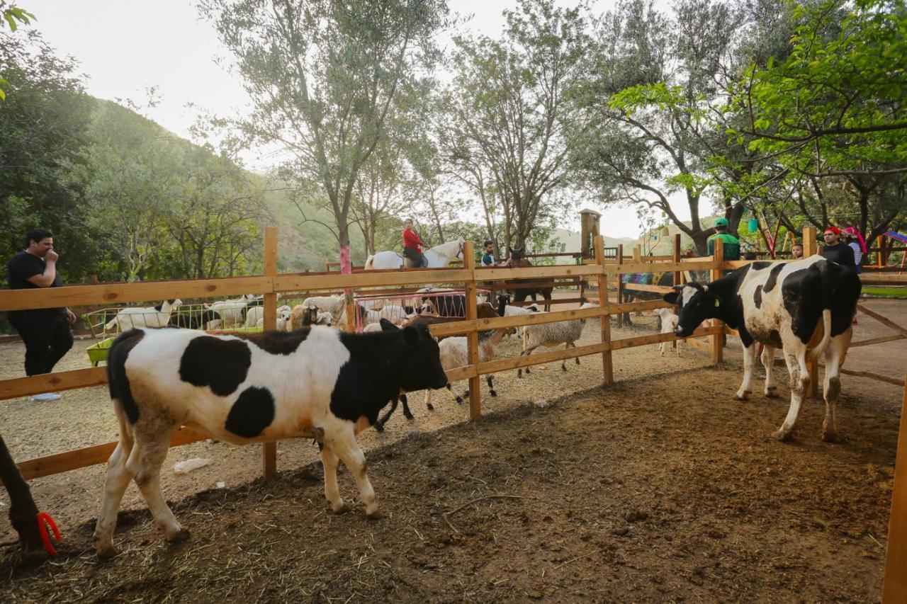 Ferme By Ikalimo Hotel Урика Екстериор снимка
