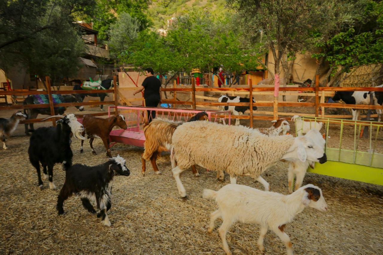 Ferme By Ikalimo Hotel Урика Екстериор снимка